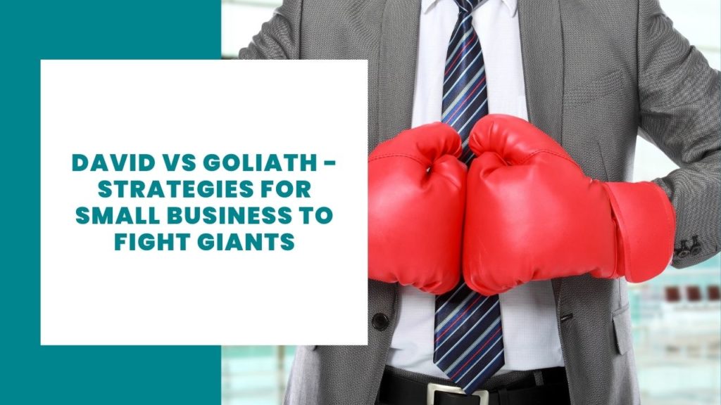 David Vs Goliath - Strategies for small business to fight giants