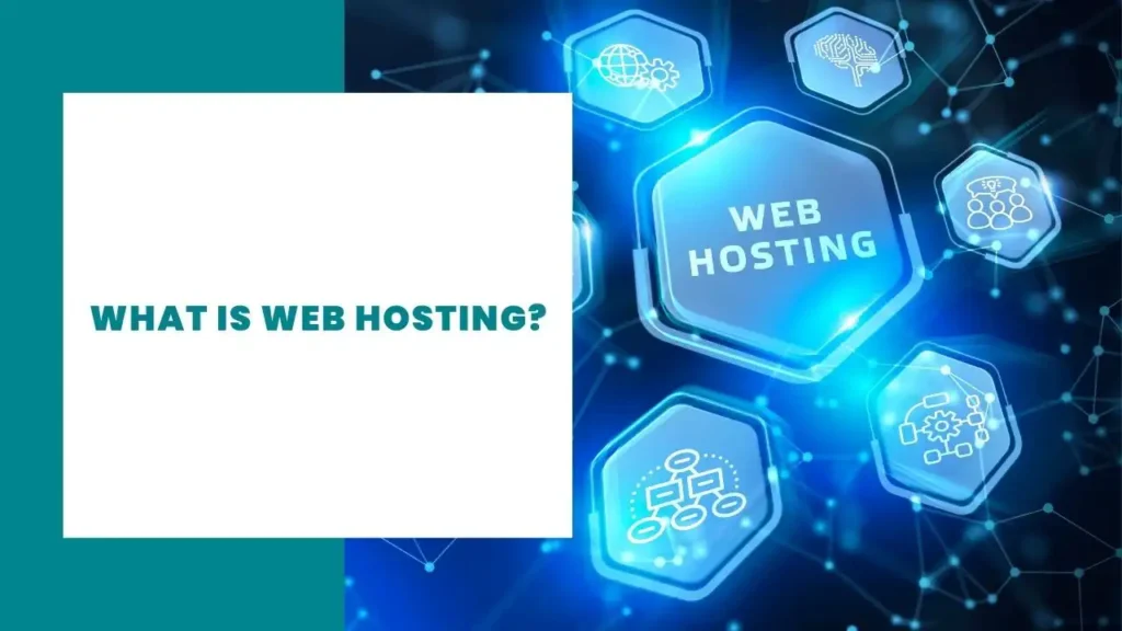 what is web hosting