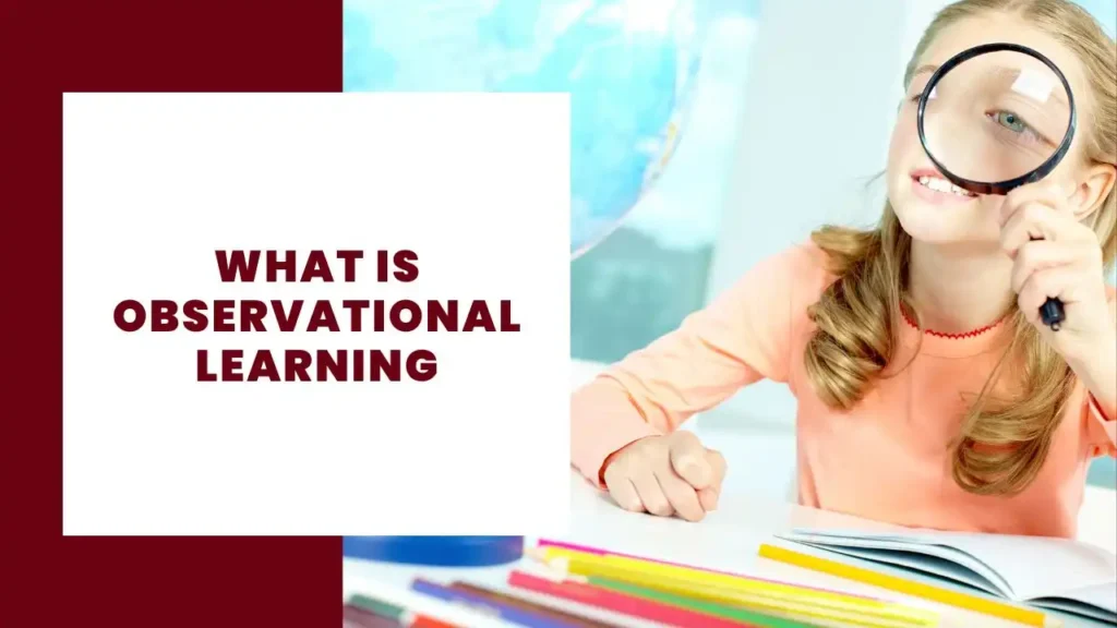 What is observational learning