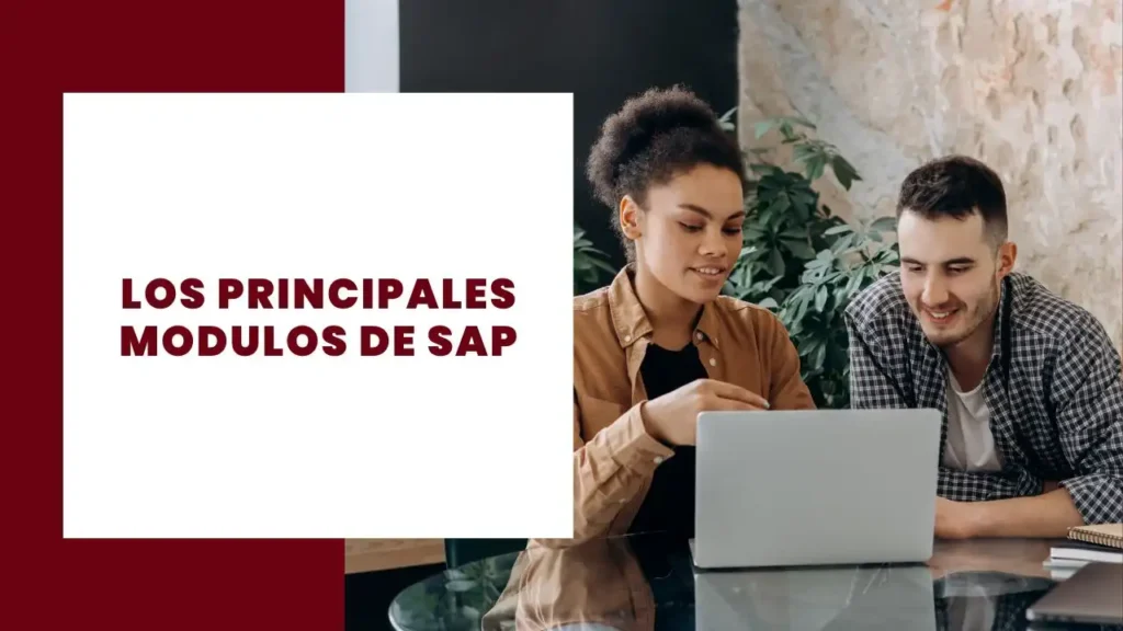 Los Principales Modulos de SAP