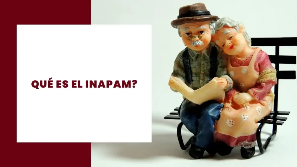 Qué es el INAPAM
