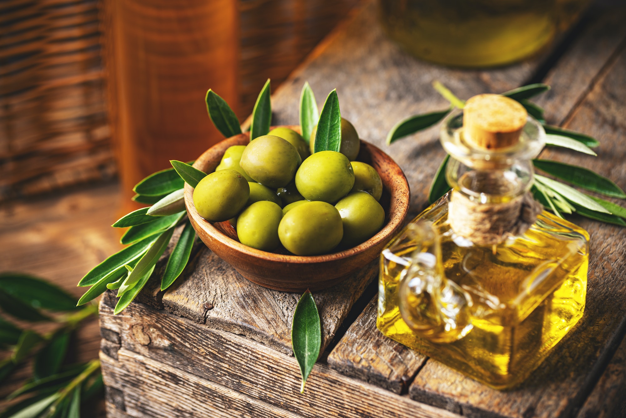 Exploring the Olive Groves of Israel A Journey through the Olive Oil