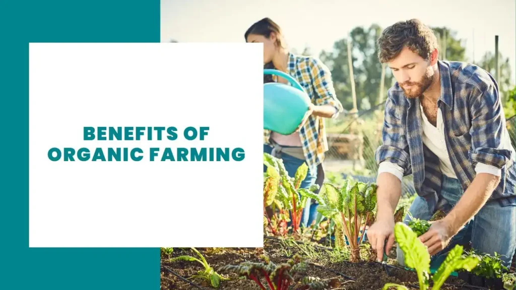 Benefits of Organic Farming