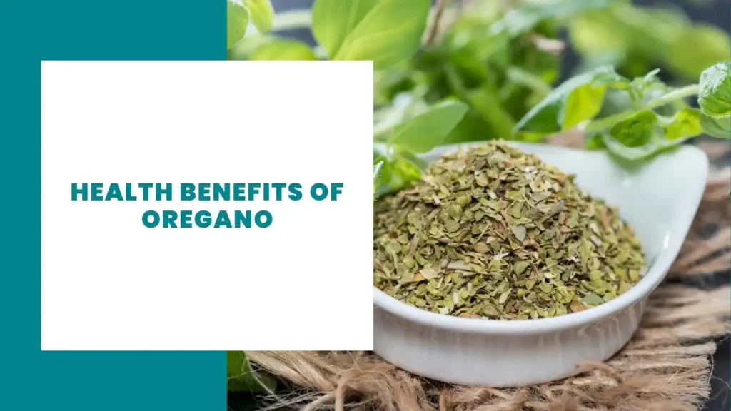 11 Health Benefits of Oregano 5 Health Benefits of Oregano