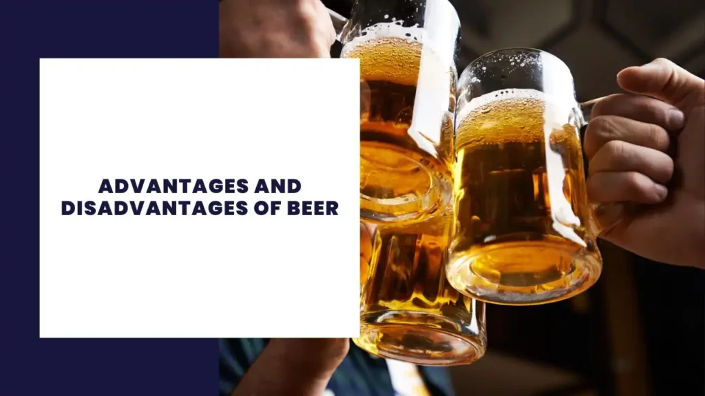 Advantages and disadvantages of Beer