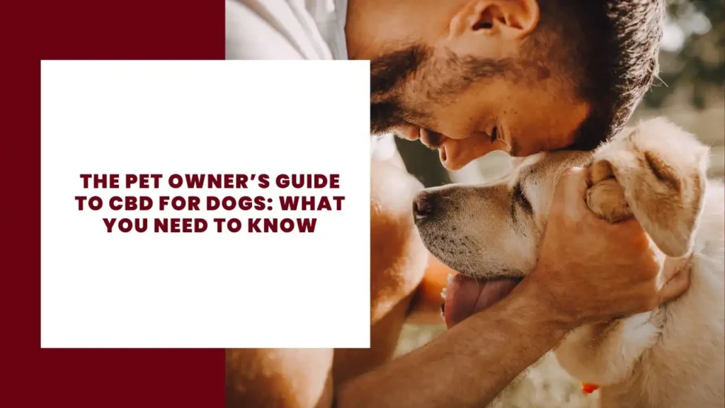 The Pet Owner’s Guide to CBD for Dogs: What You Need to Know 4 The Pet Owner’s Guide to CBD for Dogs What You Need to Know