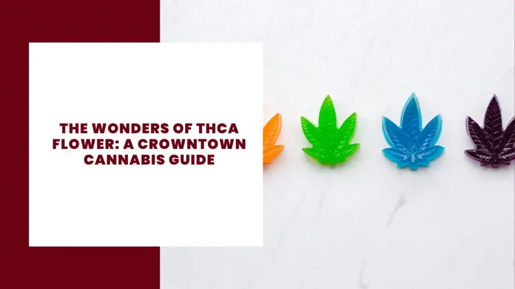 11 Advantages and Disadvantages of Alternative Medicine