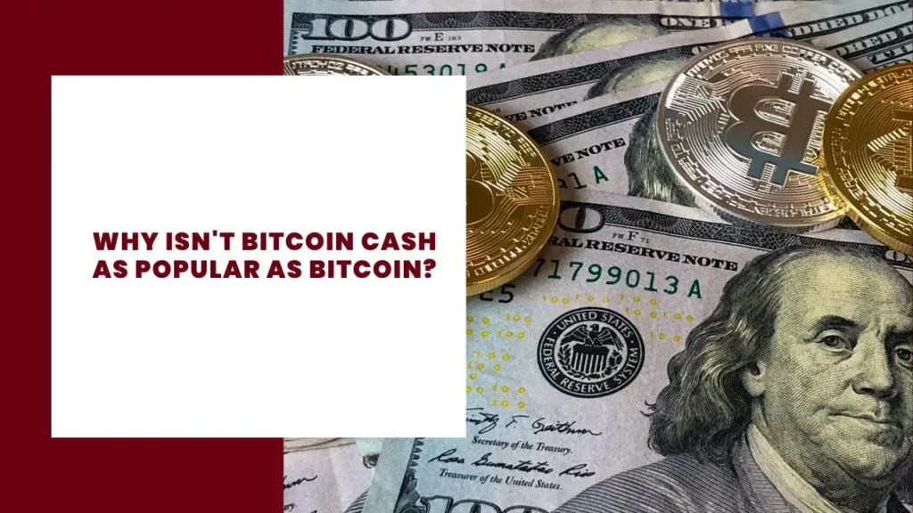 Why Isn't Bitcoin Cash As Popular As Bitcoin