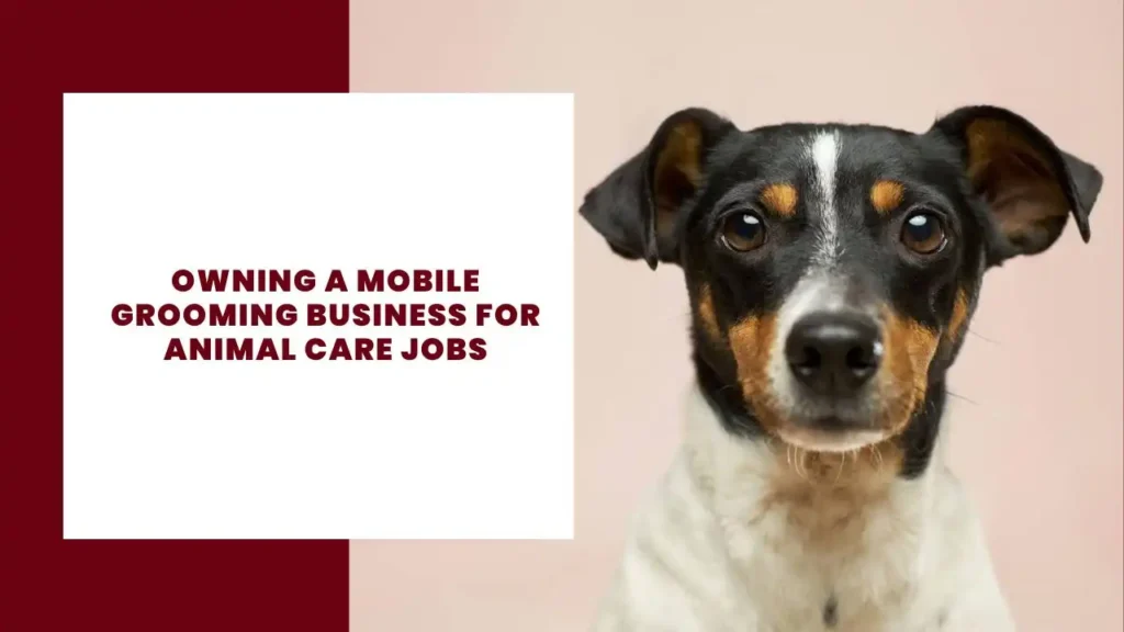 Owning a Mobile Grooming Business for Animal Care Jobs