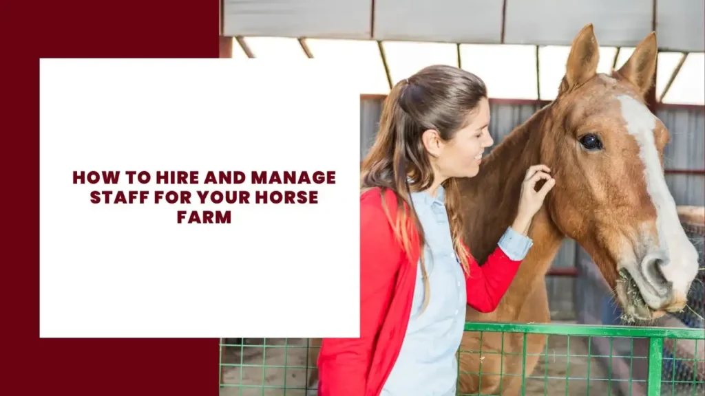 How to Hire and Manage Staff for Your Horse Farm 5 How to Hire and Manage Staff for Your Horse Farm