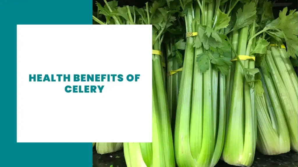 Health benefits of Celery