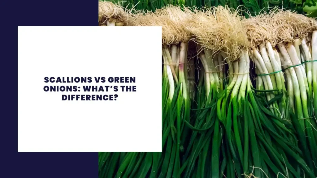 Scallions vs Green Onions: What’s the Difference?