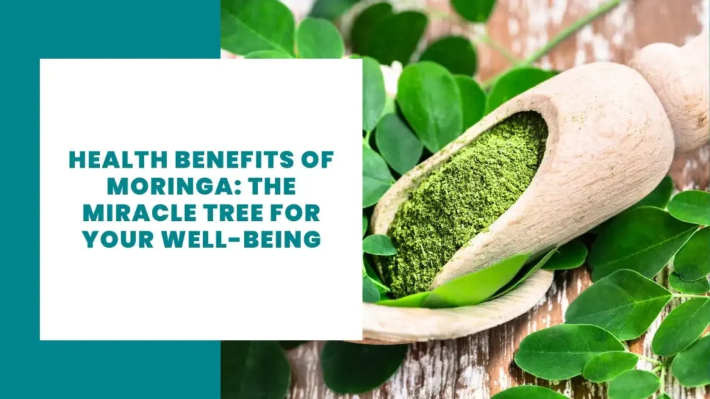 Health Benefits of Moringa The Miracle Tree for Your Well-being