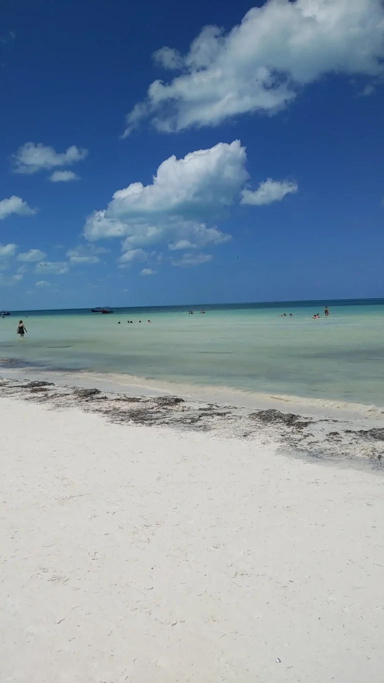 Holbox 5