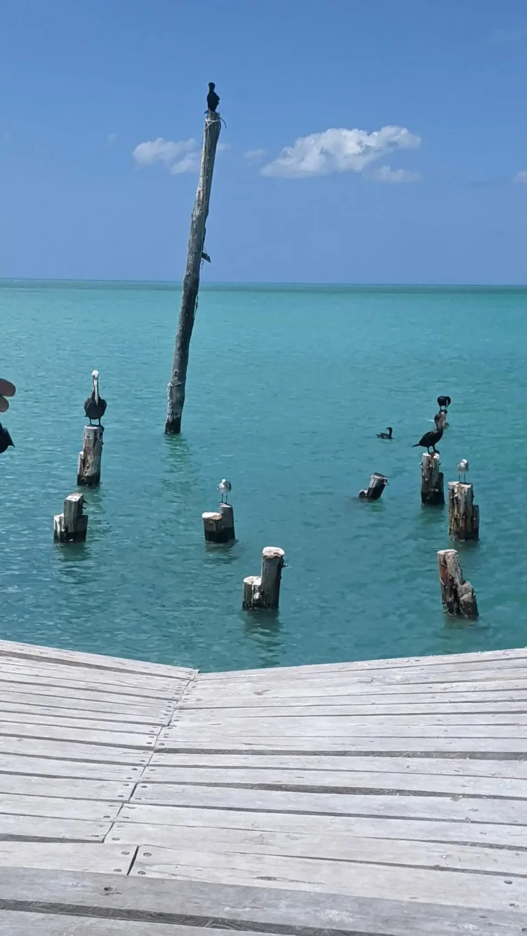 How to Travel from Cancun to Holbox 6 Holbox 7