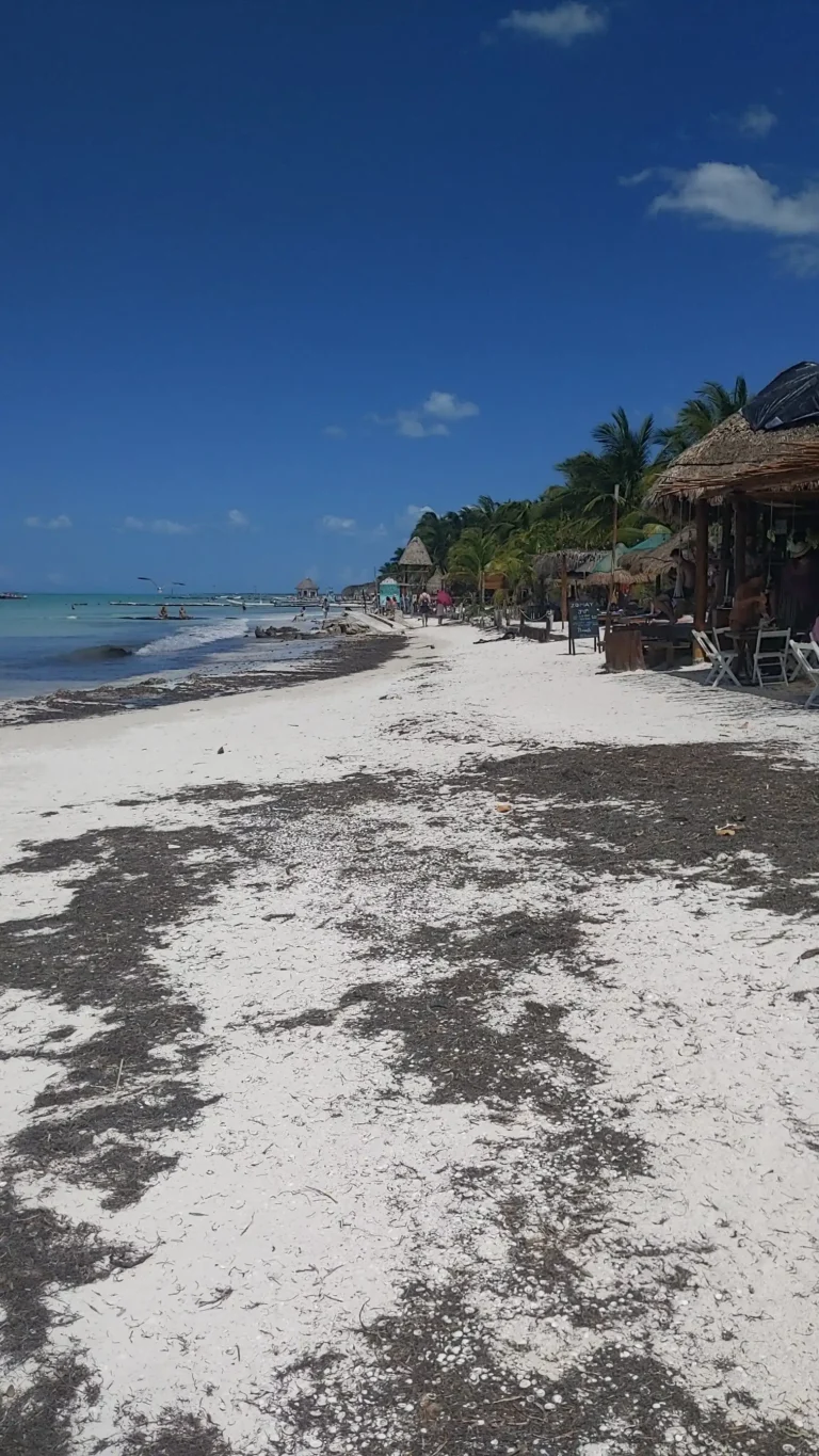 How to Travel from Cancun to Holbox 7 Holbox 8