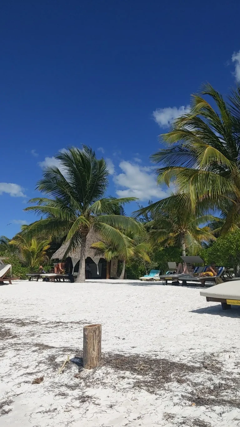 How to Travel from Cancun to Holbox 8 Holbox 9