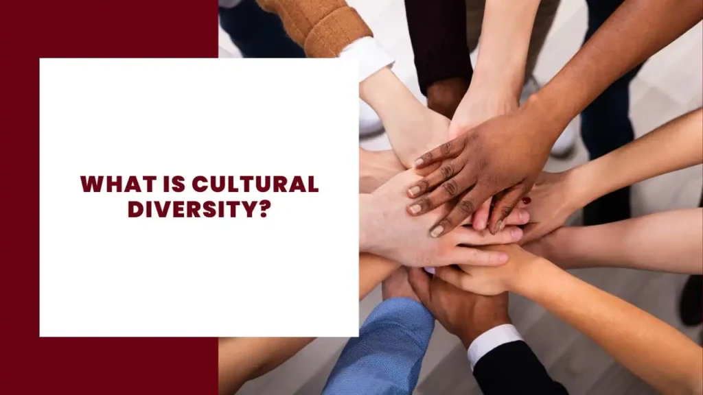 What Is Cultural Diversity