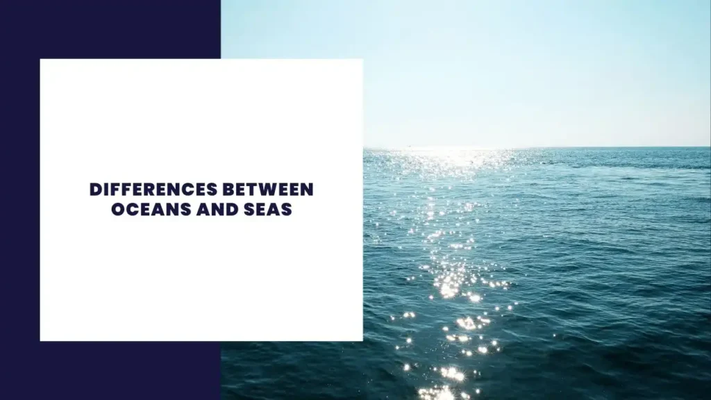 Differences Between Oceans and Seas