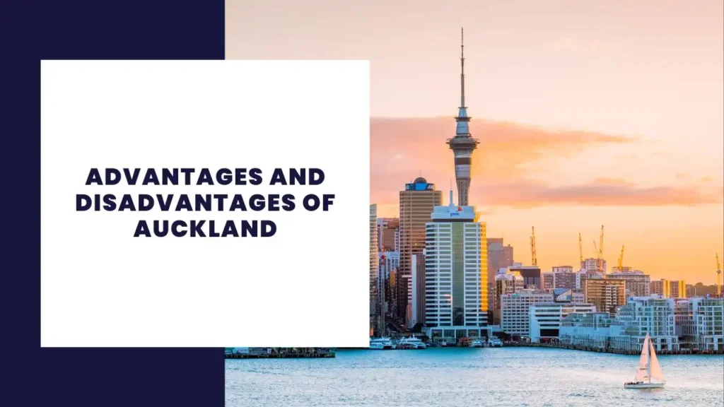 Advantages and Disadvantages of Auckland