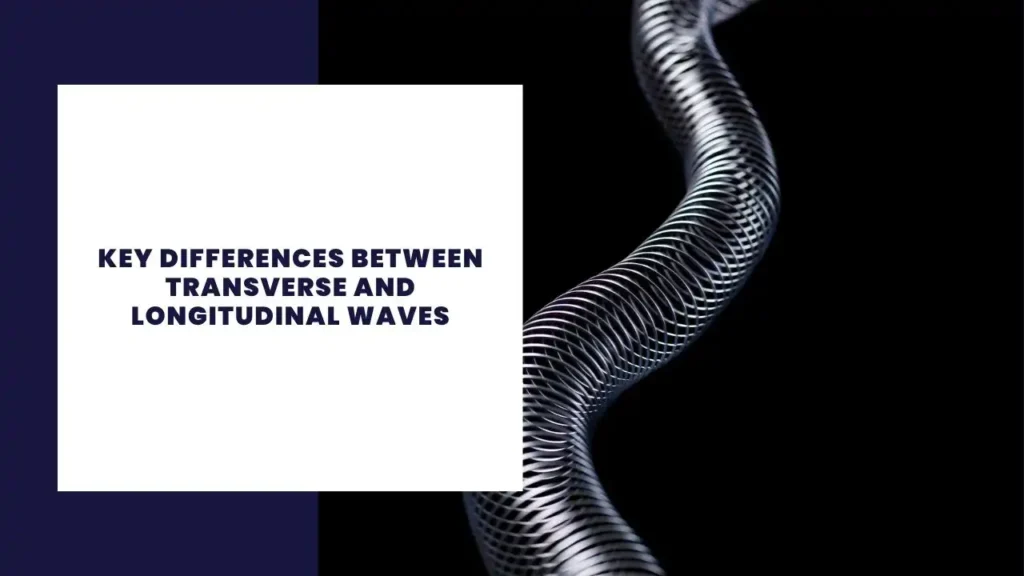 Key Differences Between Transverse and Longitudinal Waves