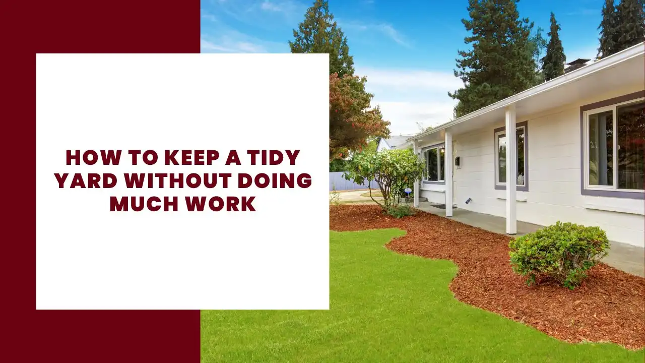 How to Keep a Tidy Yard Without Doing Much Work