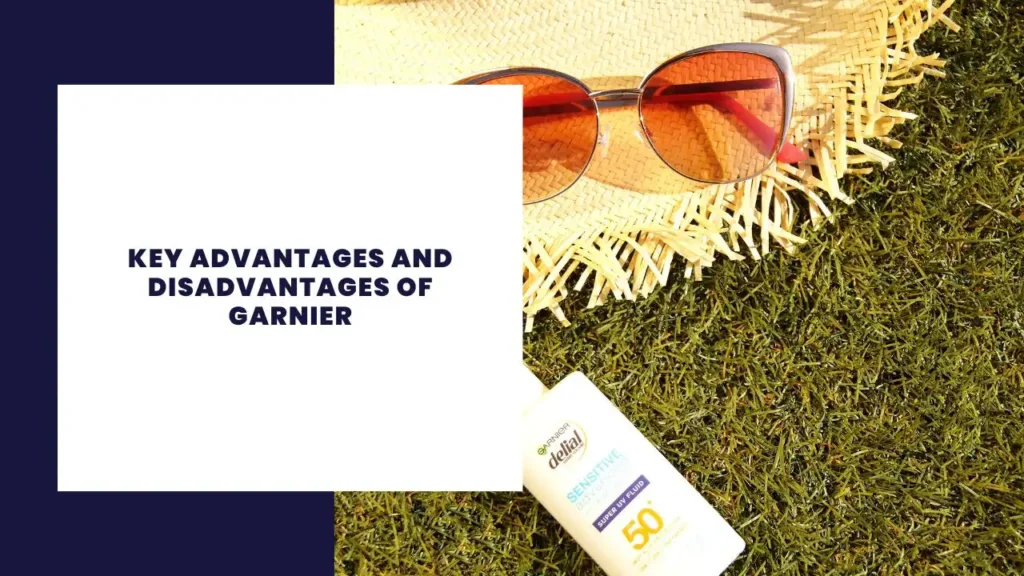 Key Advantages And Disadvantages Of Garnier