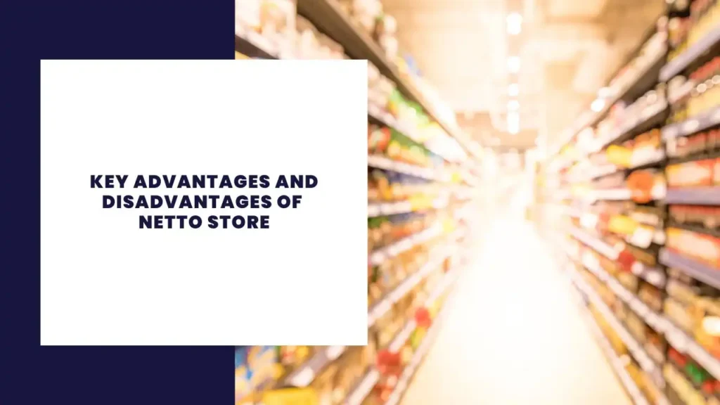 Key Advantages And Disadvantages Of Netto Store