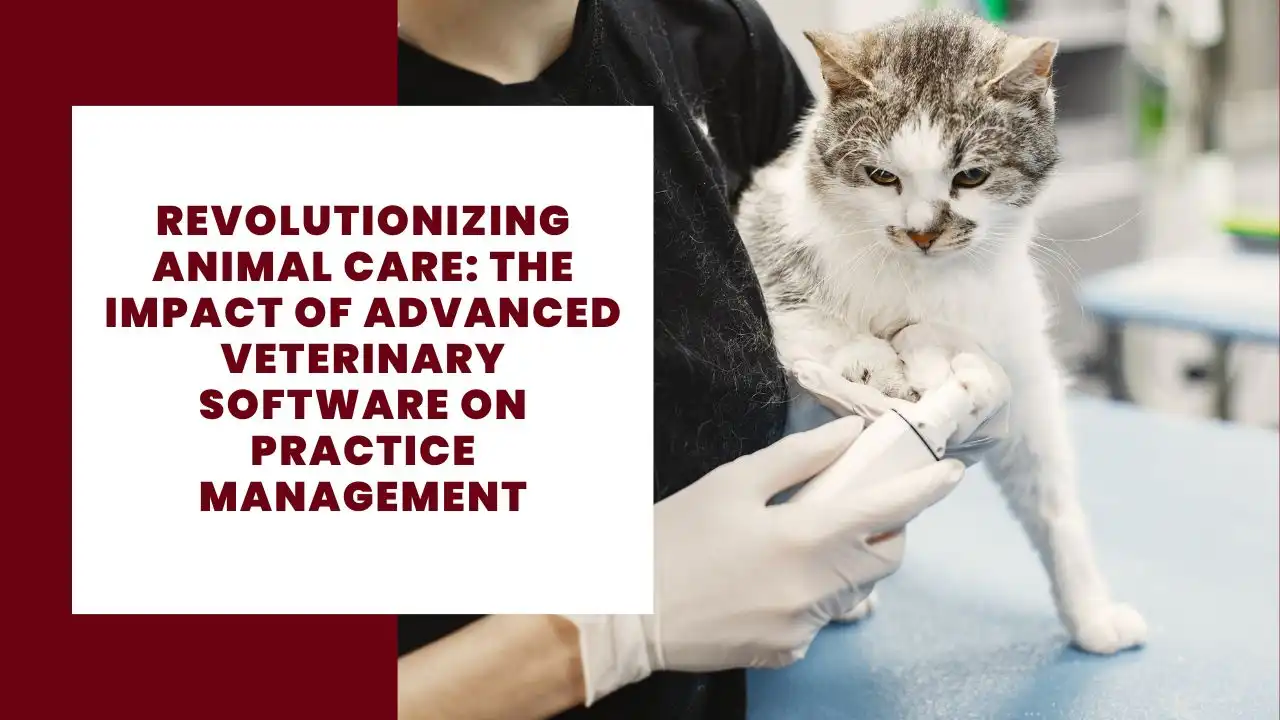 Revolutionizing Animal Care: The Impact of Advanced Veterinary Software ...