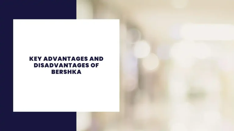 Key Advantages And Disadvantages Of Bershka