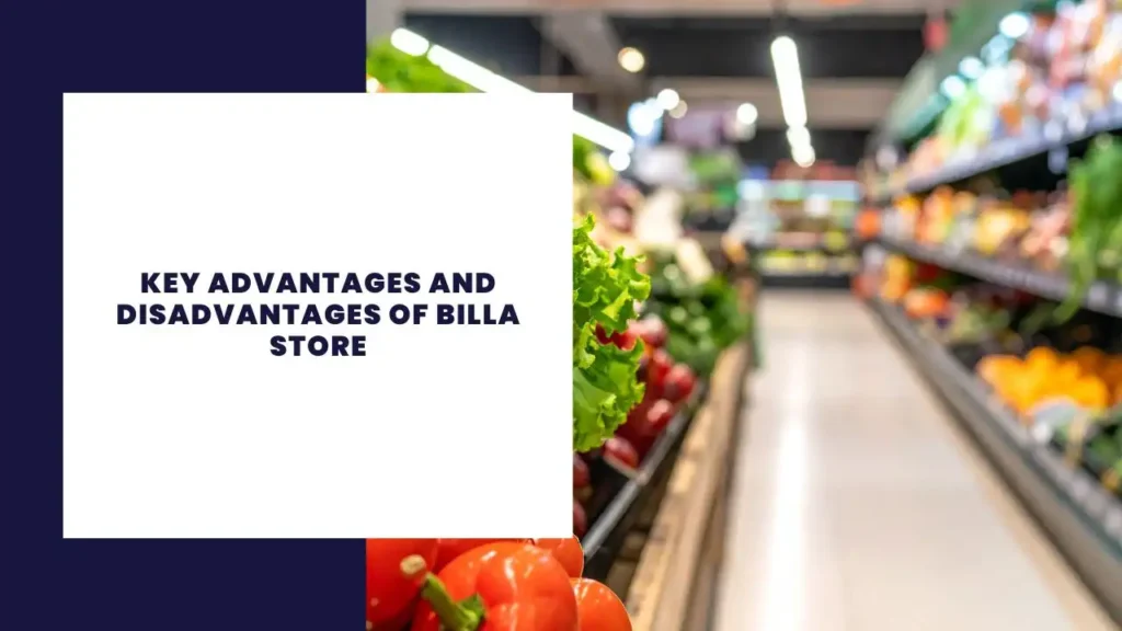 Key Advantages and Disadvantages of Billa Store