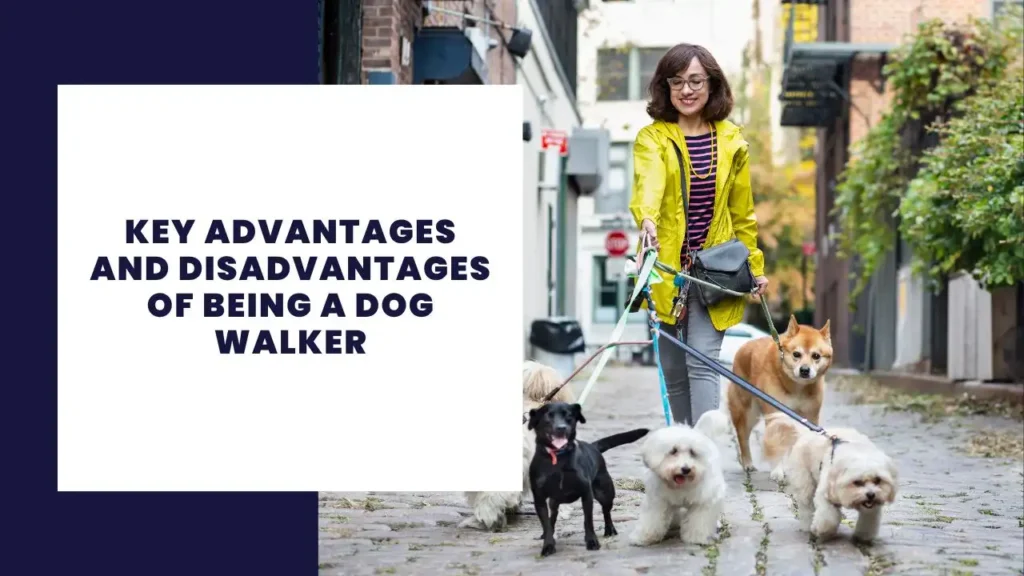 14 Key Advantages And Disadvantages Of Dating Apps 7 Key Advantages And Disadvantages Of Being A Dog Walker