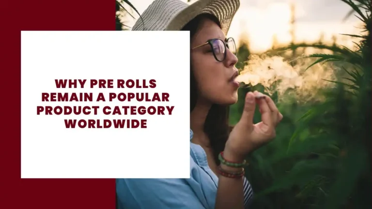 Why Pre Rolls Remain a Popular Product Category Worldwide
