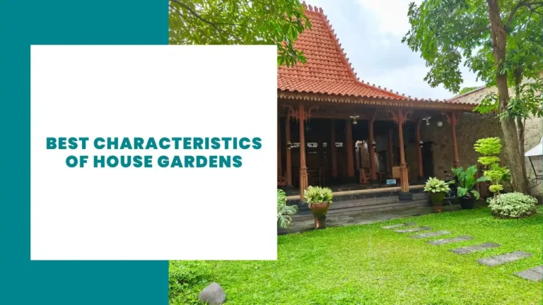 Best Characteristics of House Gardens