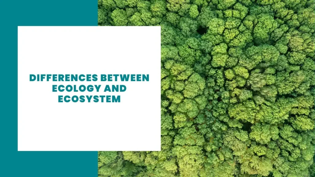 Differences Between Ecology and Ecosystem