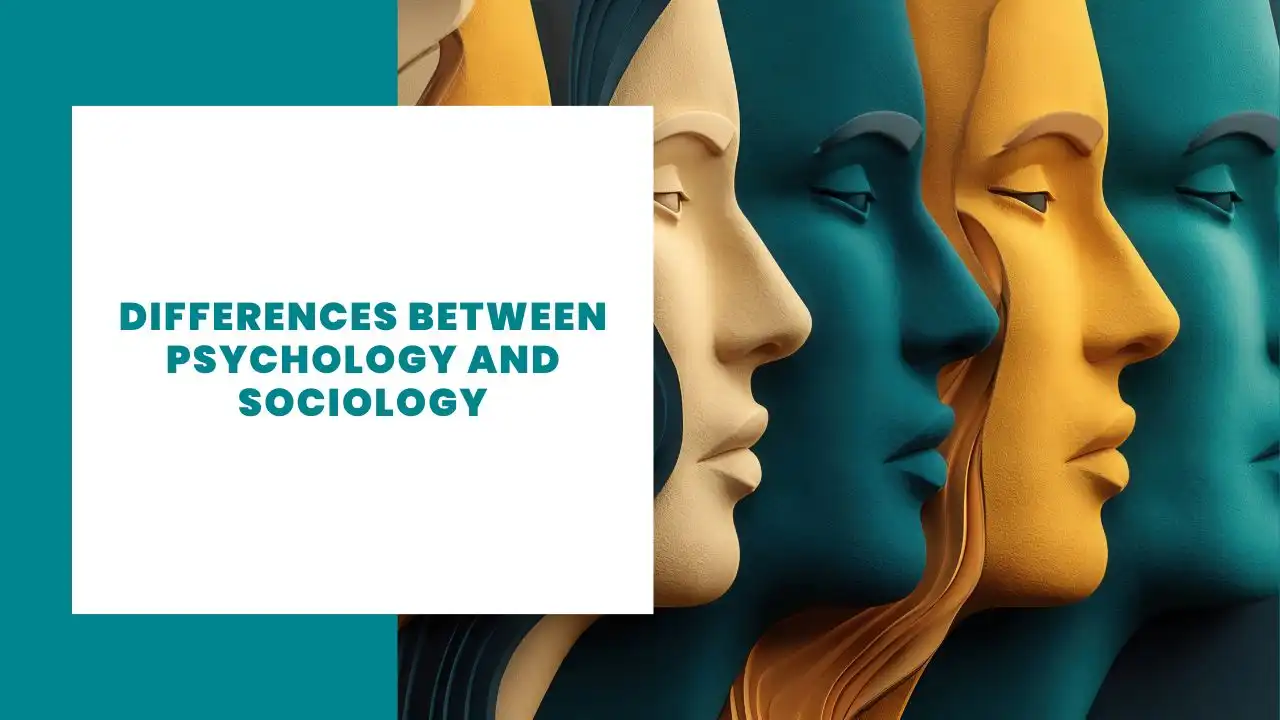 7 Differences Between Psychology And Sociology
