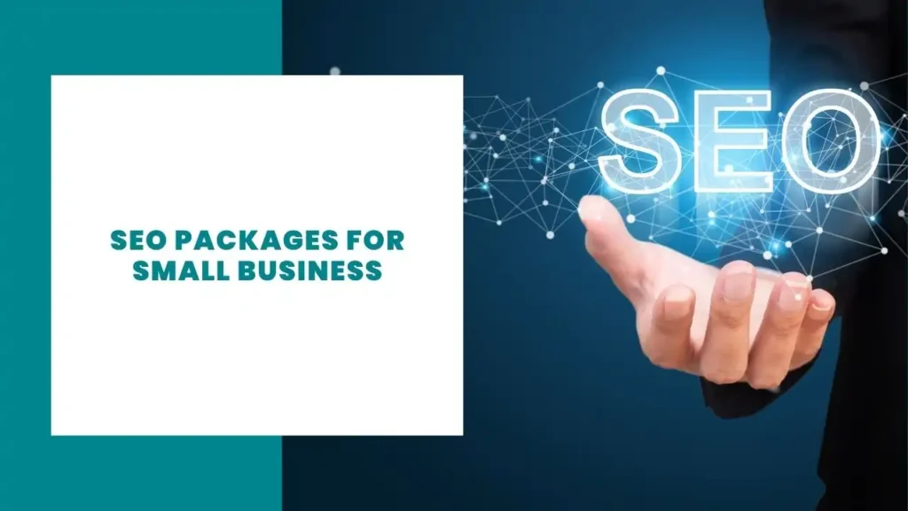 SEO Packages for Small Business