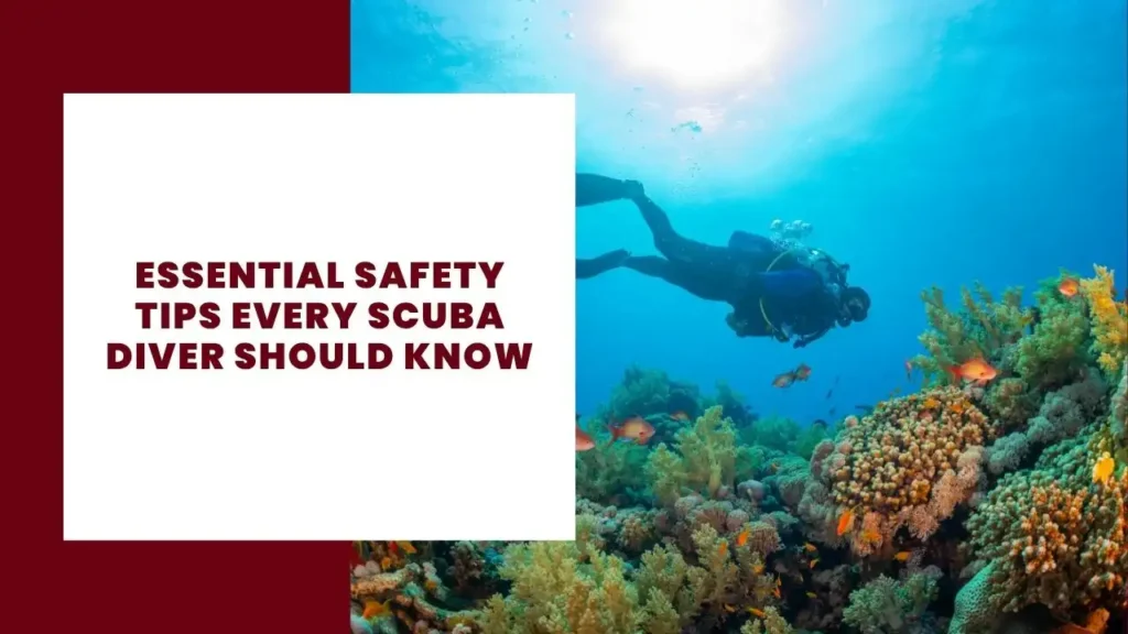Essential Safety Tips Every Scuba Diver Should Know