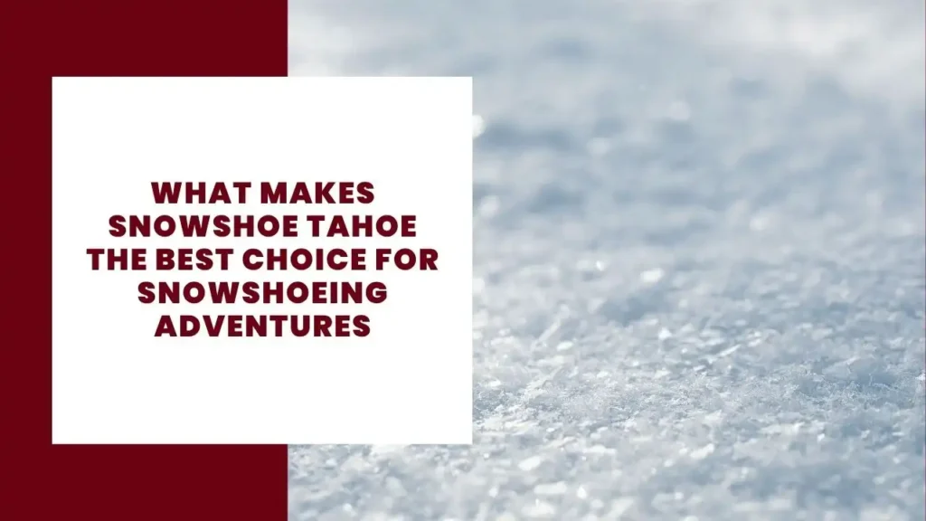 14 Key Advantages And Disadvantages Of Antalya As A Tourist 3 What Makes Snowshoe Tahoe the Best Choice for Snowshoeing Adventures