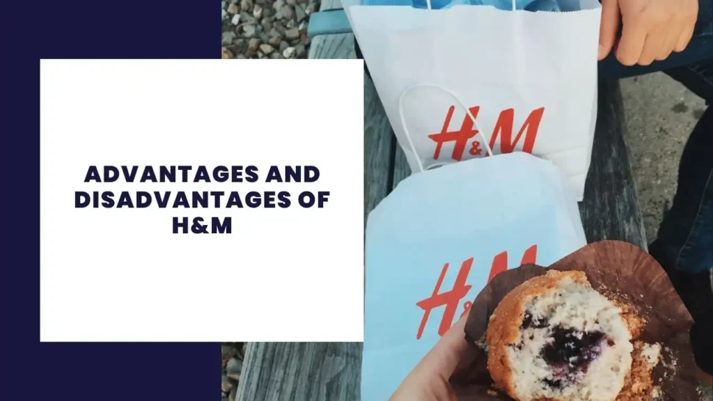 14 Key Advantages And Disadvantages Of Smirnoff 2 Advantages and Disadvantages of H&M