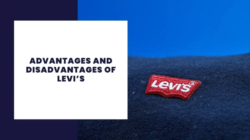 10 Advantages and Disadvantages of Macy's 4 Advantages and Disadvantages of Levi’s