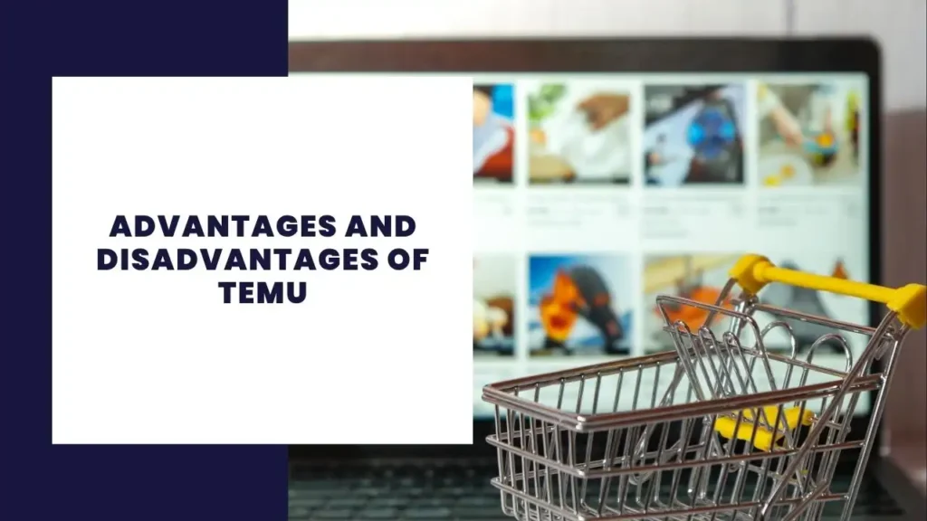 14 Key Advantages And Disadvantages Of Primark 2 Advantages and Disadvantages of Temu