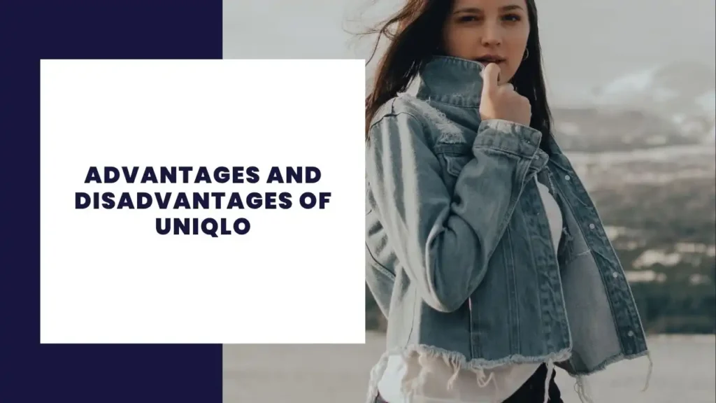 14 Key Advantages And Disadvantages Of Smirnoff 3 Advantages and Disadvantages of Uniqlo