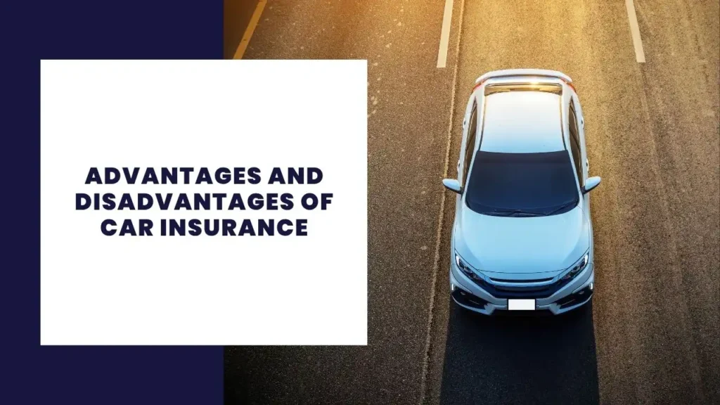 7 Differences Between Subsistence and Commercial Agriculture 6 Advantages and Disadvantages of Car Insurance