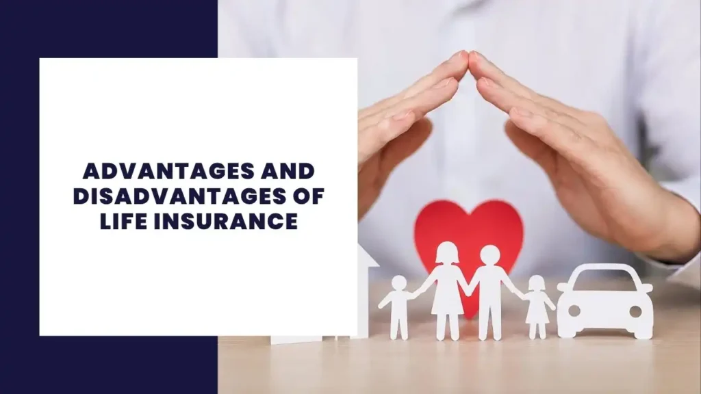 7 Differences Between Subsistence and Commercial Agriculture 4 Advantages and Disadvantages of Life Insurance