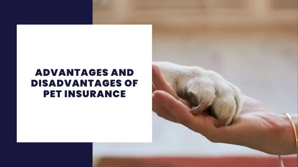 Advantages and Disadvantages of Pet Insurance