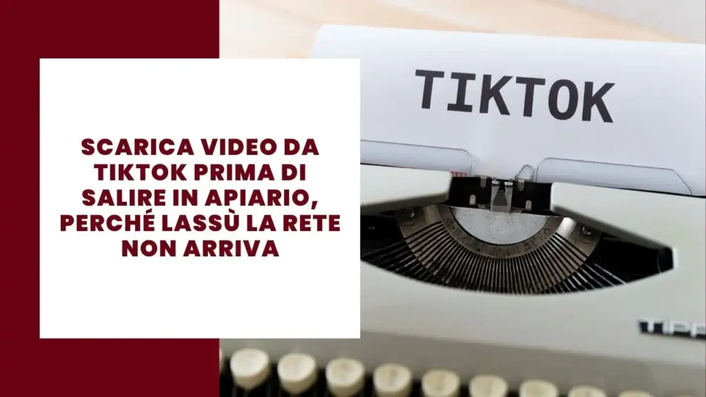 10 Vantaggi e svantaggi dei siti web 2 Scarica video da TikTok prima di salire in apiario, perché lassù la rete non arriva
