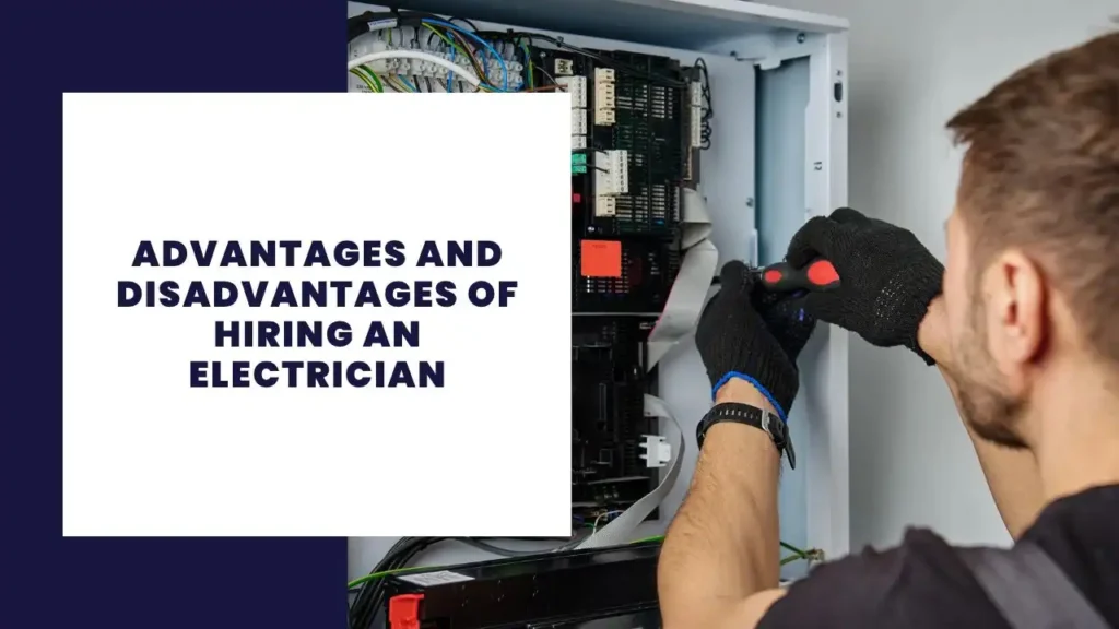 14 Key Advantages And Disadvantages Of Software Development 6 Advantages And Disadvantages Of Hiring An Electrician