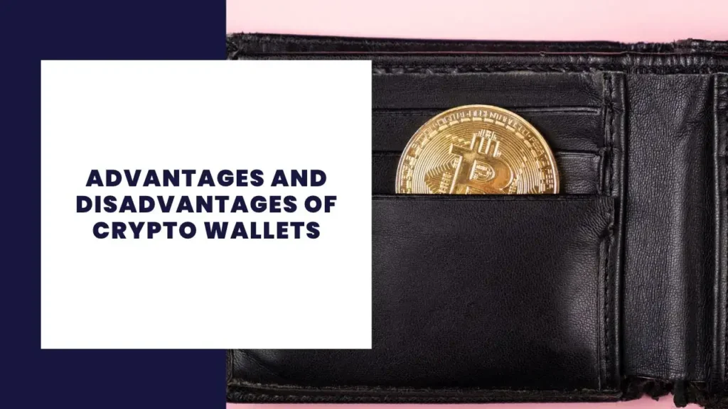 16 Advantages and Disadvantages of Python 5 Advantages and Disadvantages of Crypto Wallets