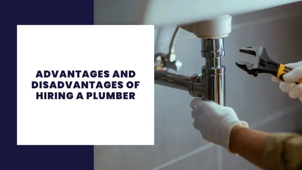 14 Key Advantages And Disadvantages Of Software Development 5 Advantages and Disadvantages of Hiring a Plumber